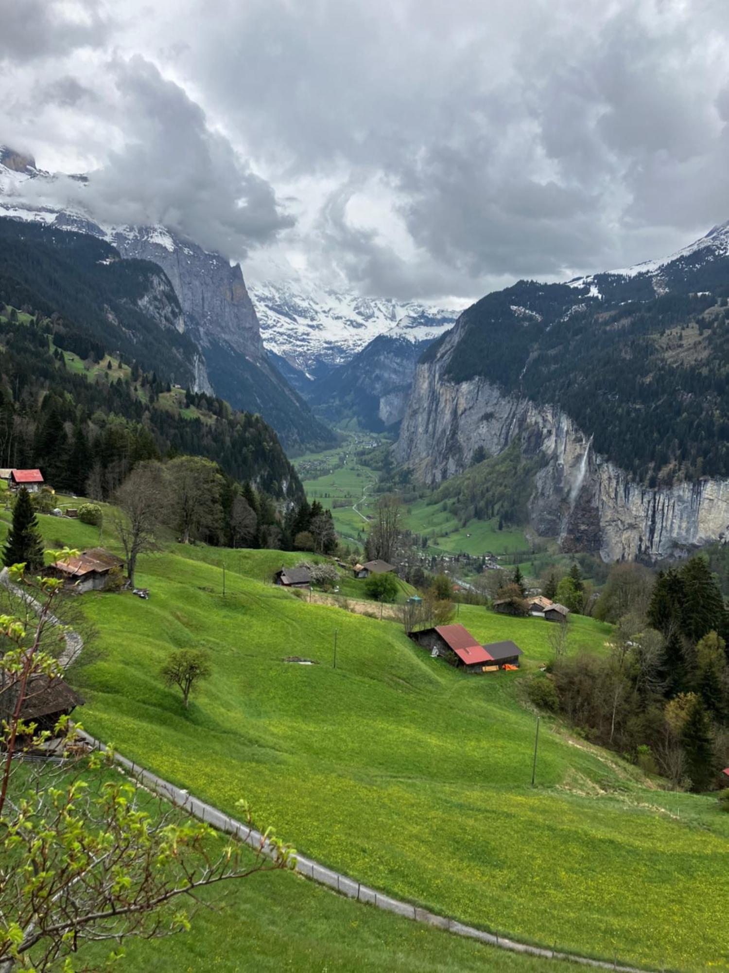 Chalet Alpina Gyger Wengen Exteriér fotografie