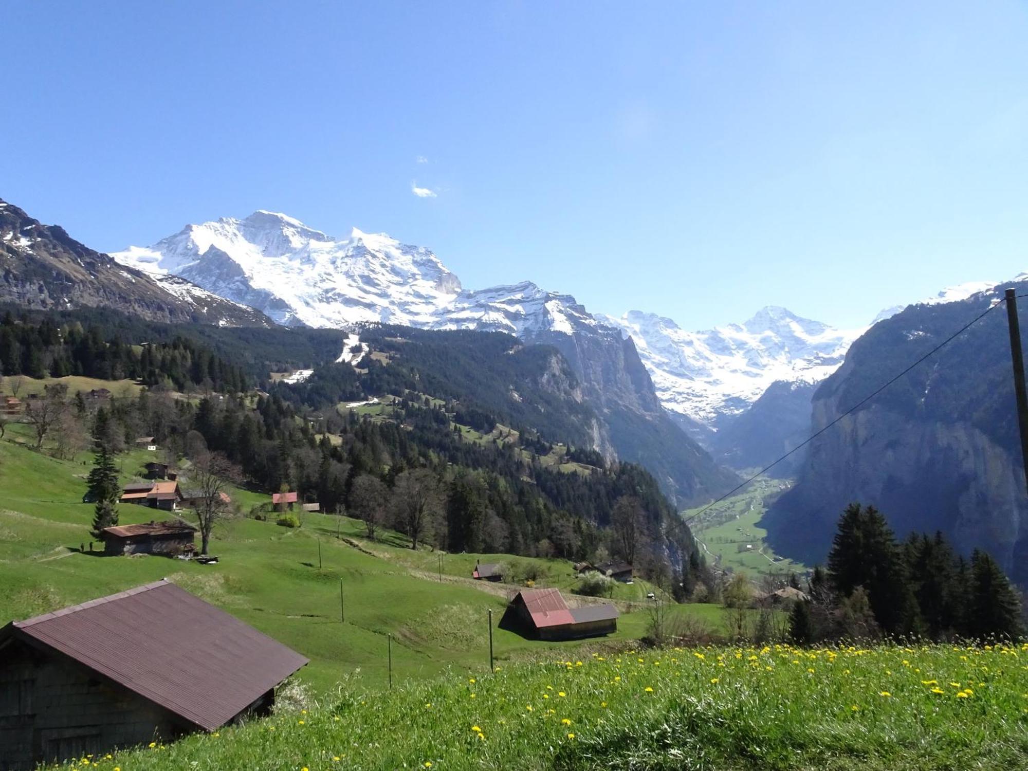 Chalet Alpina Gyger Wengen Exteriér fotografie