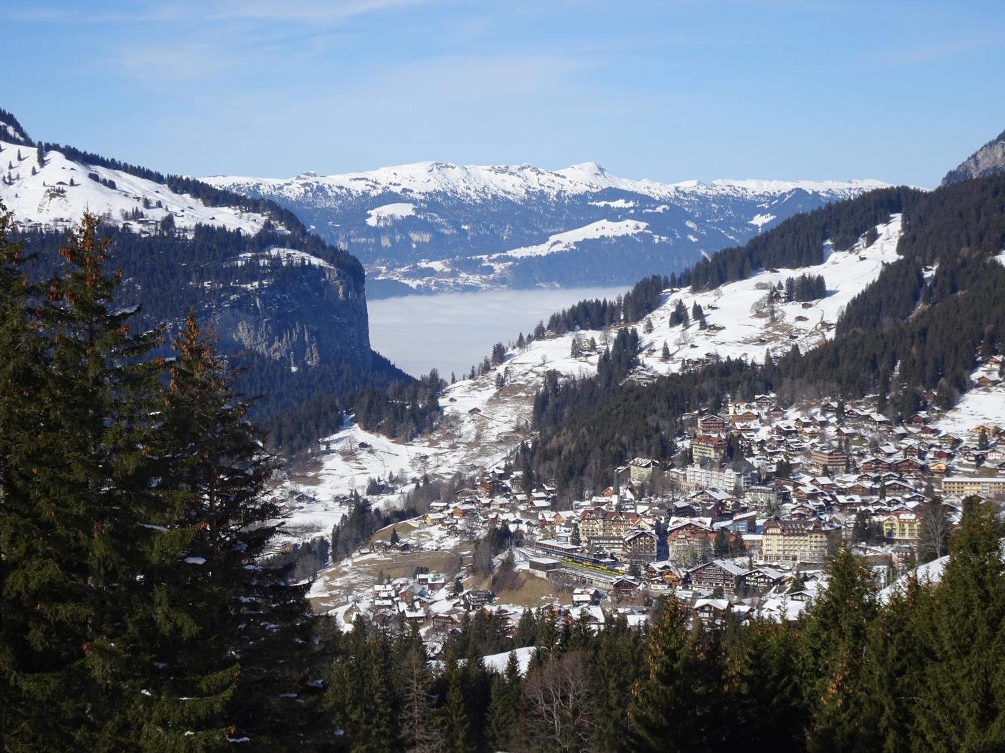 Chalet Alpina Gyger Wengen Exteriér fotografie