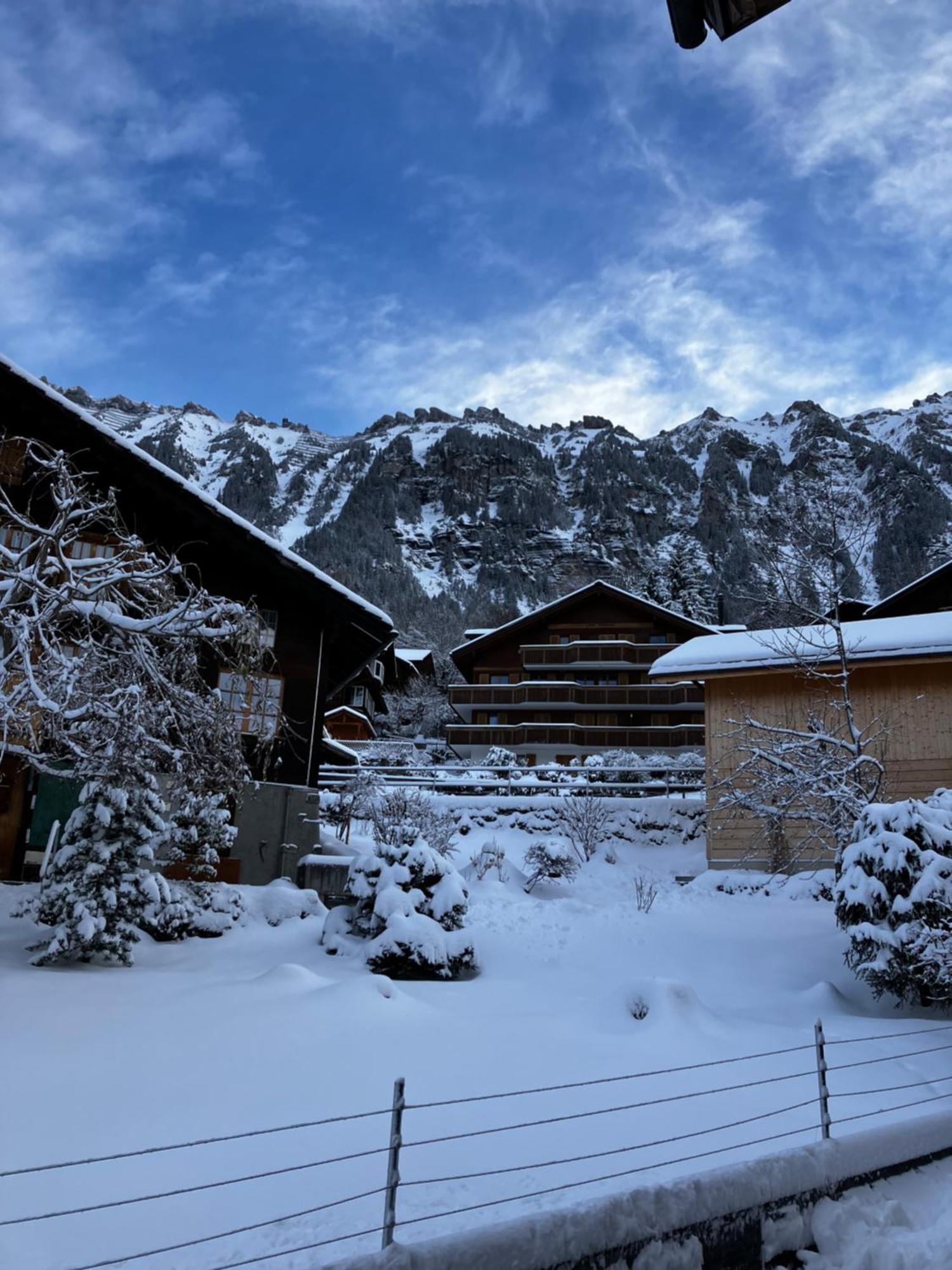 Chalet Alpina Gyger Wengen Exteriér fotografie