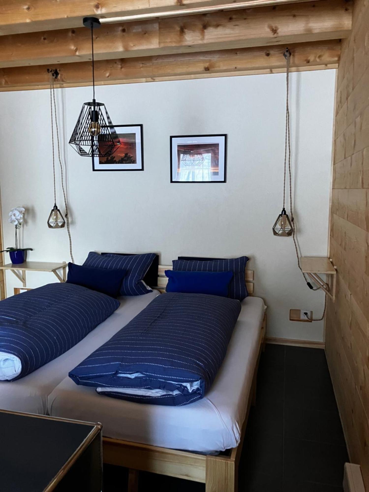 Chalet Alpina Gyger Wengen Pokoj fotografie